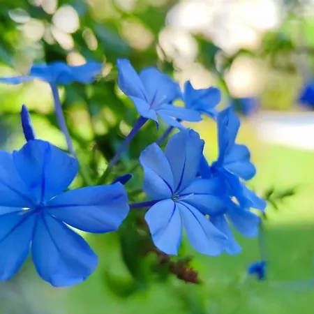 Zephyrus By Costa Apartamento Dénia