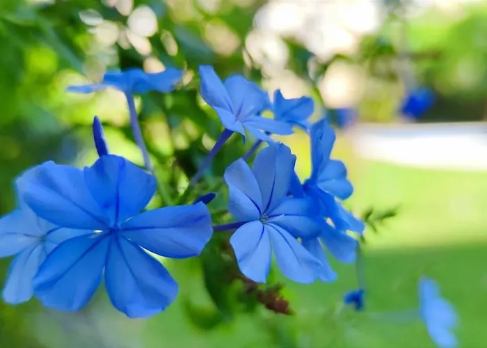 Zephyrus By Costa Apartment Denia